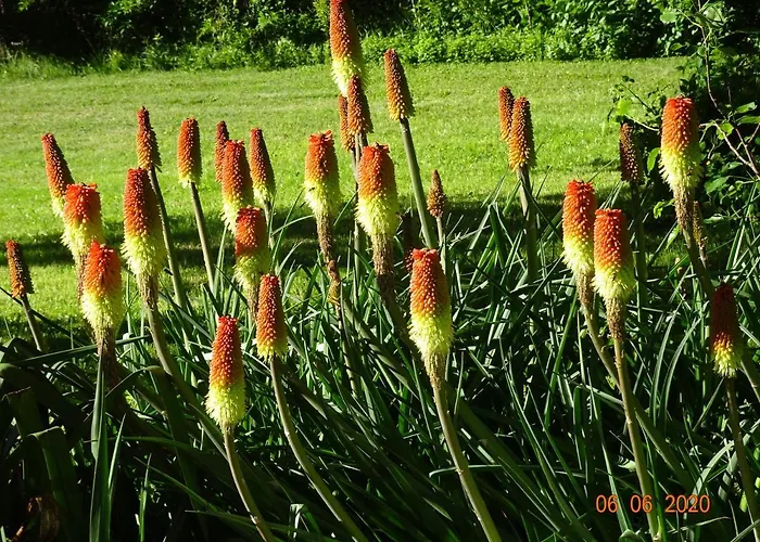 Holiday home La Pardigone *