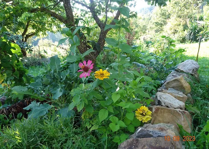 Holiday home La Pardigone