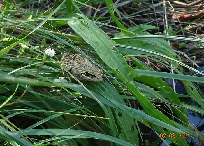 La Pardigone Holiday home