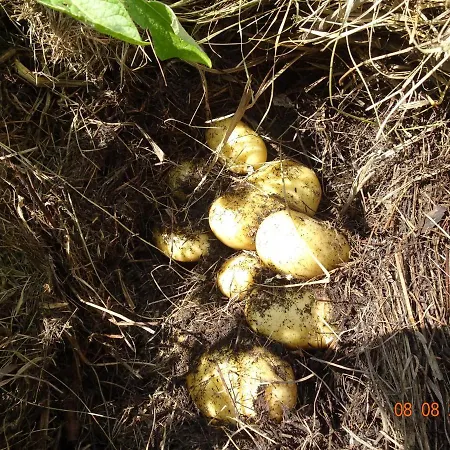 Сasa de vacaciones La Pardigone Castellane