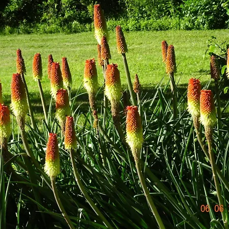 Сasa de vacaciones La Pardigone *