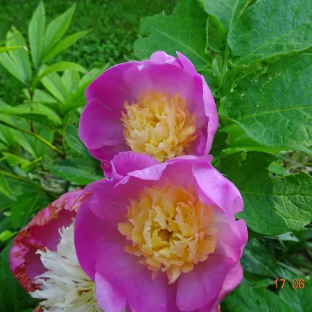 Сasa de vacaciones La Pardigone