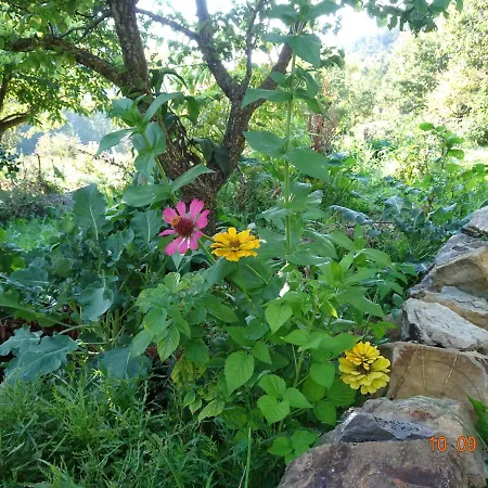 Holiday home La Pardigone