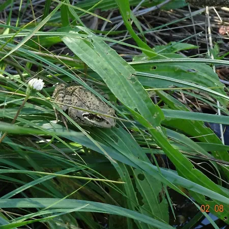 La Pardigone Сasa de vacaciones