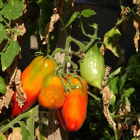 Сasa de vacaciones La Pardigone Castellane