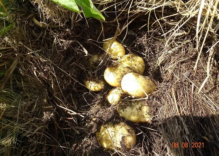 Vakantiehuis La Pardigone Castellane