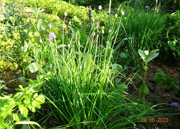 La Pardigone * Castellane