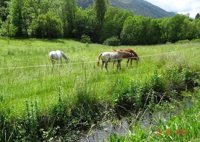 Hébergement de vacances La Pardigone *