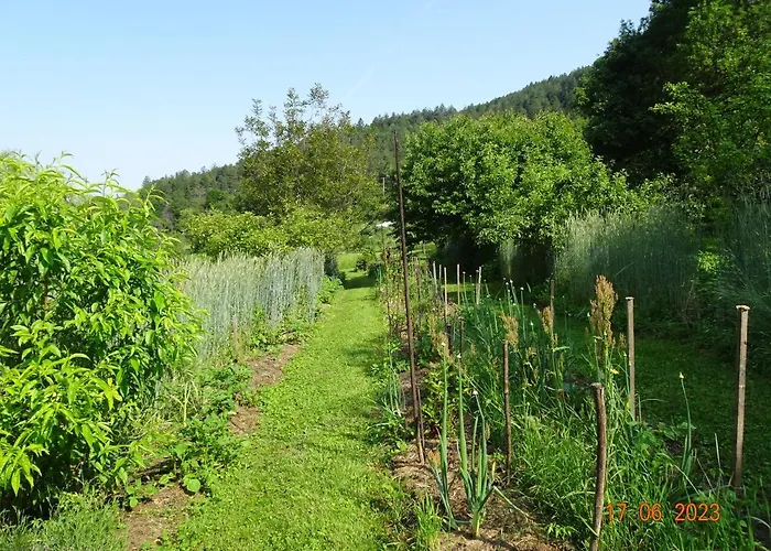 La Pardigone Castellane
