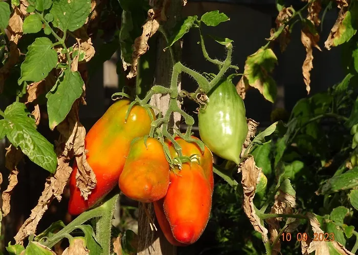 Vakantiehuis La Pardigone Castellane