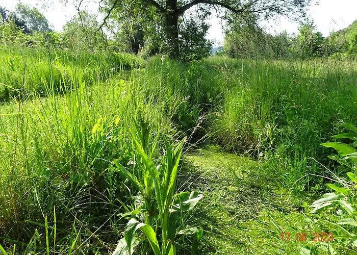 Vakantiehuis La Pardigone Castellane